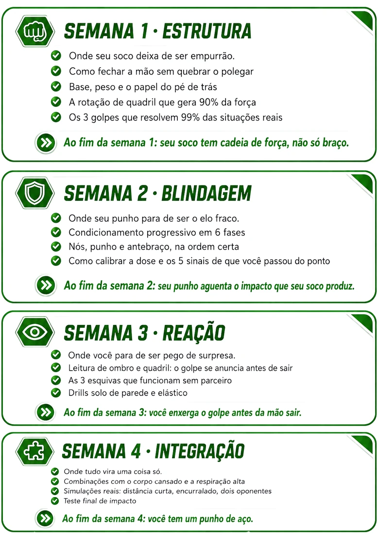 Semana 1 Estrutura, Semana 2 Blindagem, Semana 3 Reação, Semana 4 Integração